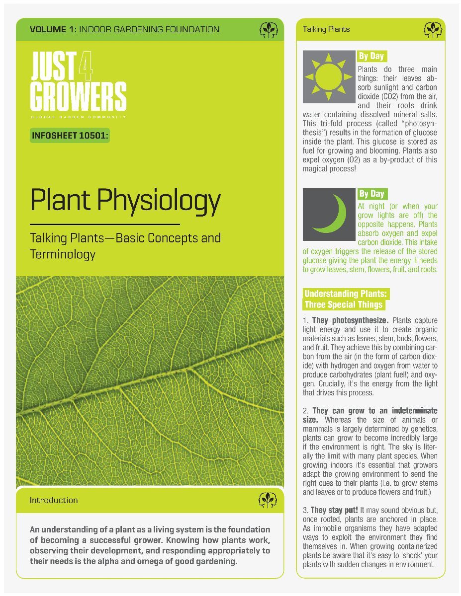 Plant Physiology Buchanan Pdf